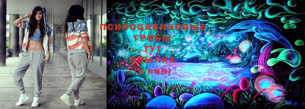 гидра Армянск