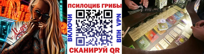 Псилоцибиновые грибы мицелий  купить закладку  Балахна 