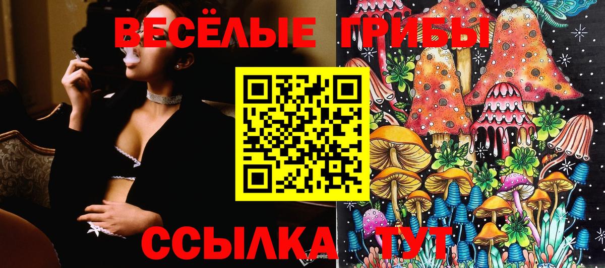 Галлюциногенные грибы Cubensis Балахна