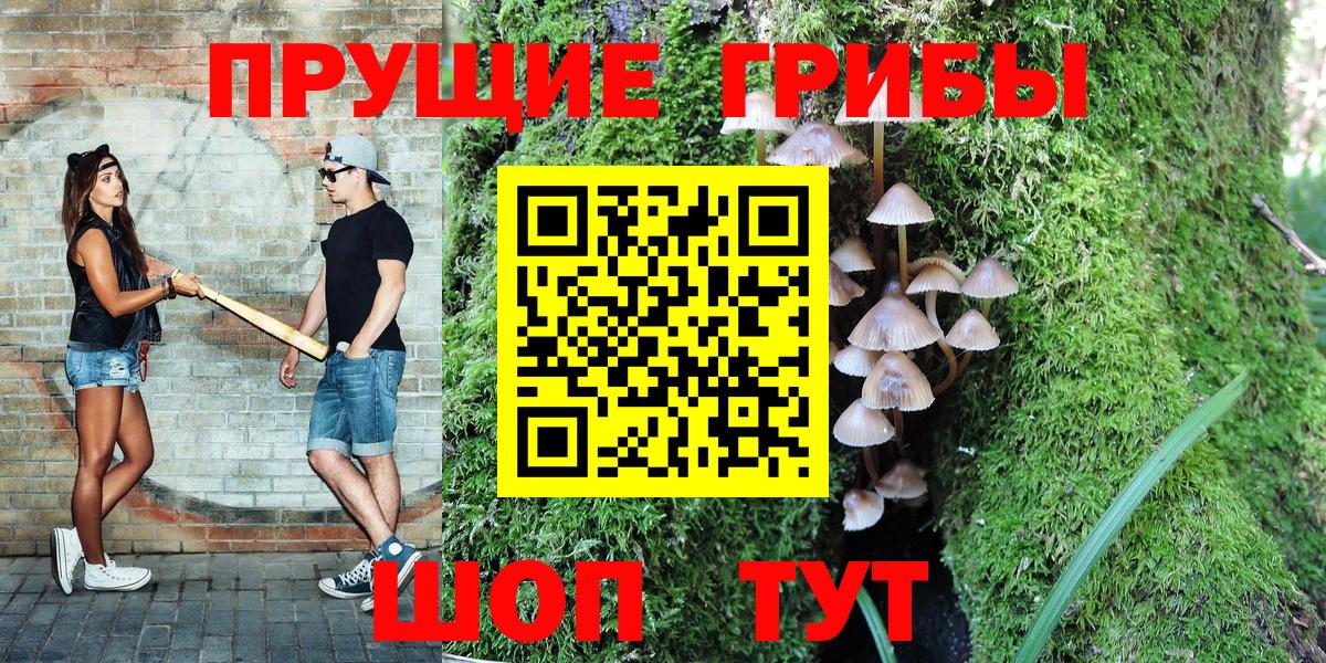 Псилоцибиновые грибы Magic Shrooms  Вход с VPN  дарнет шоп  Балахна 