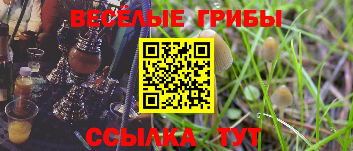 Галлюциногенные грибы мухоморы  дарнет шоп  Балахна 