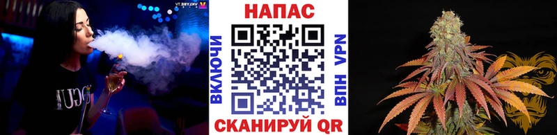 Канабис ГИДРОПОН Балахна